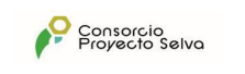Consorcio Proyecto Selva